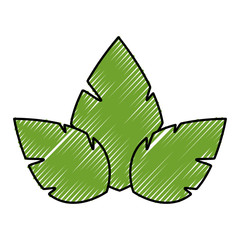 Leaves eco symbol