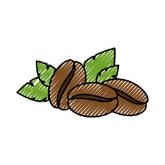 Coffee beans natural