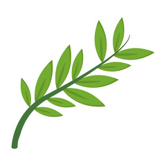 olive branch leaf peace flora symbol vector illustration