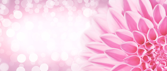 Wunderschöne Blumen im Sommer