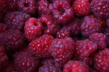 Himbeeren