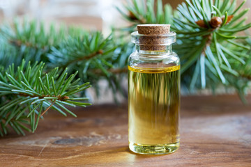 Obraz na płótnie Canvas A bottle of spruce essential oil with spruce twigs