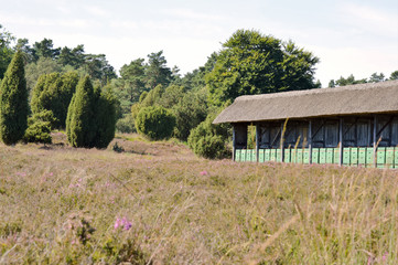 Fototapeta na wymiar Bienenhaus in der Lüneburger Heide