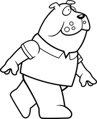 Bulldog Walking