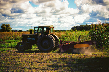 Fototapeta premium Small tractor working in the field. Machine farmers. Agriculture. Cleaning the fall harvest from the field. Tinted