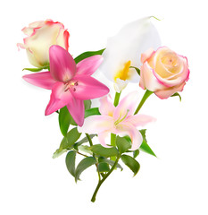 Vector Illustration with Pink Lily, Calla and Roses Isolated on White Background