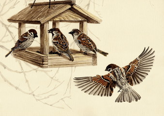 Рисунок акварелью "Воробьи слетелись к кормушке"