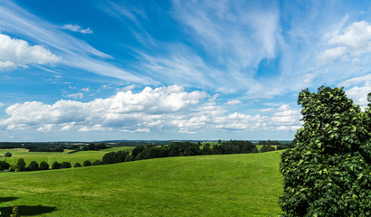 hilly meadows with sheeps - landscape