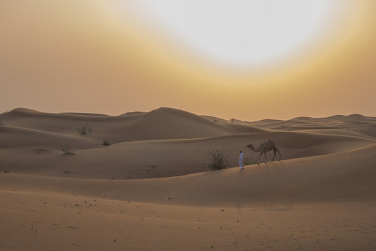 A Man and his Camel walk across Sand Dunes