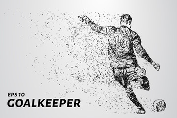 Fototapeta na wymiar Goalkeeper of the particles. The goalkeeper knocks the ball consists of points and circles. Vector illustration