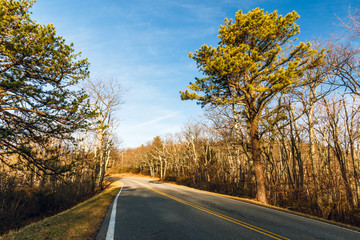 Fototapeta premium Early Spring at Skyline Drive. Shenandoah National Park.