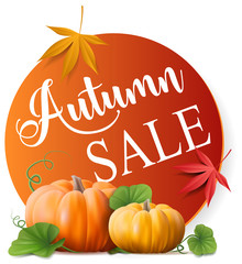autumn sale offer button