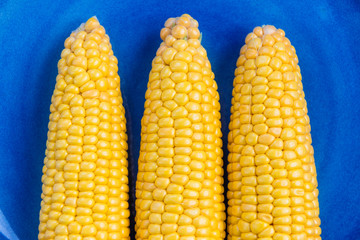 Fresh Yellow Sweet Corn