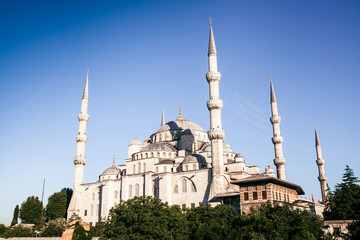 Fototapeta na wymiar The world-famous Blue Mosque in Istanbul is also called Sultanahmet. Turkey.