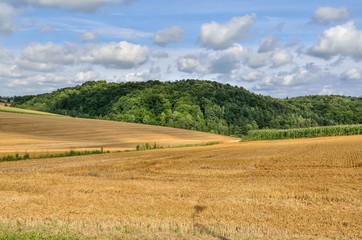 Summer rural landscape. Gold farmland with beautiful green hills in the background.