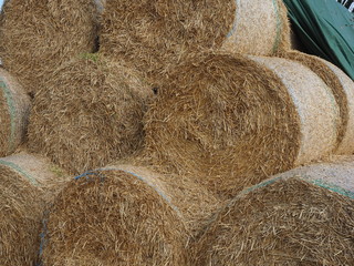 Strohrollen aufgestapelt