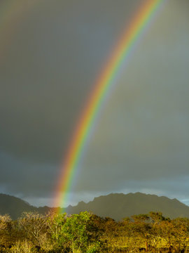 A rainbow appears after rainfall on the Hawaiian island of Kauai © A. Emson