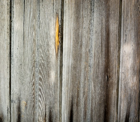 Grey wooden planks for texture