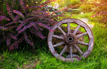 Garden design with old wooden wheel and a Bush of barberry in the background of the pond .