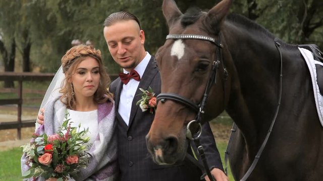 Beautiful newlyweds with a horse in the park on the background of a river. Wedding day