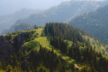 Landscape of Carpathians in Romania, summer travel Europe concept