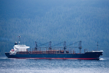 A ship transporting stacks of freshly harvested logs
