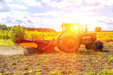 Collection of farmer crop. Small tractor working in the field. Small-scale agriculture. Tinted