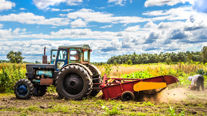 Obraz premium Harvest. Small tractor working in the field. Small-scale agriculture. Tinted