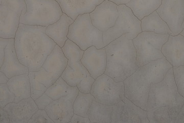 wall