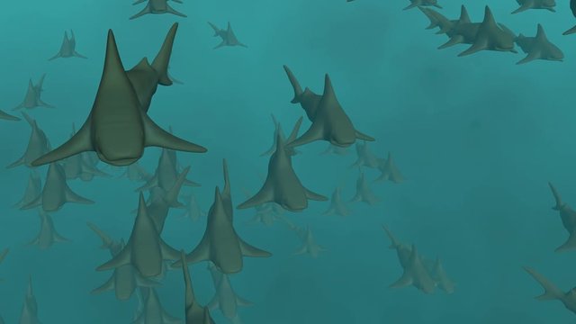 School of sharks swimming in blue water. 3d animation. Front view from above. Dense, high population
