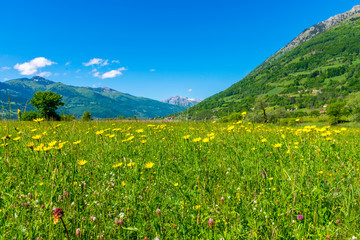 Obraz premium Unusual lake Plav among the picturesque mountain peaks of Montenegro.
