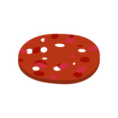 Piece of sausage isolated. Slice of salami on white background