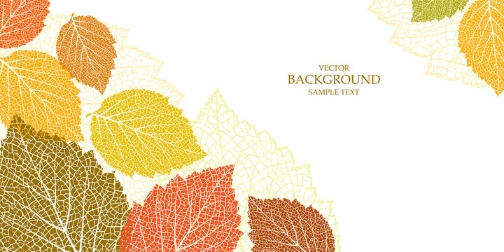 Autumn background with leaves 