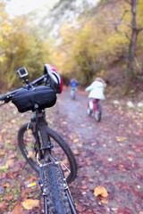 Fototapeta premium Walking the forest on a bicycle.