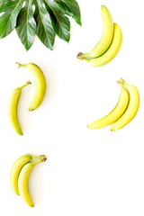 Exotic fruits. Fresh ripe bananas near big tropical leaf on white background top view copyspace