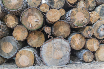 Multiple size logs stacked-up, with an assortment of patterns