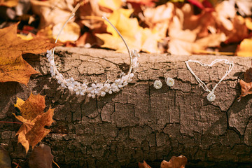 Accessories for the bride against the background of the tree trunk and autumn foliage. Artwork. Autumn wedding concept
