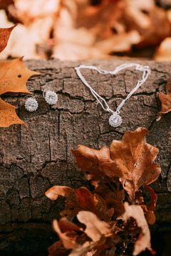 Accessories for the bride against the background of the tree trunk and autumn foliage. Artwork. Autumn wedding concept