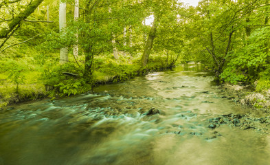 Snowdonia national park aka Heaven on Earth