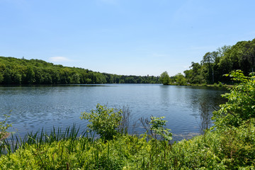 Fototapeta na wymiar Lake surrounded by trees
