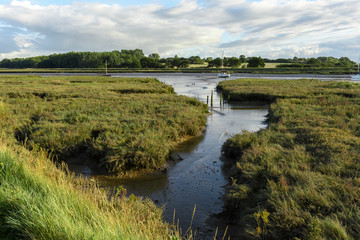 Fototapeta na wymiar River side at low tide