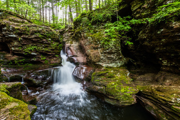 Obraz premium Waterfall in Pocono Mountains in Pennsylvania at Ricketts Glen