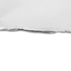 paper tears isolated on white background with copy space