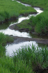 Grassy Creek