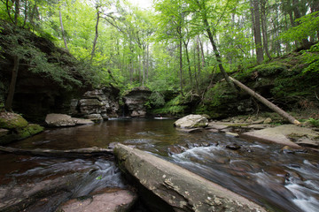 Scenic Waterfall in Ricketts Glen State Park in The Poconos in Pennsylvania