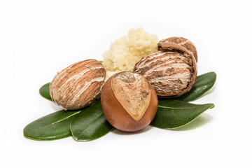 Shea butter. Vitellaria paradoxa
