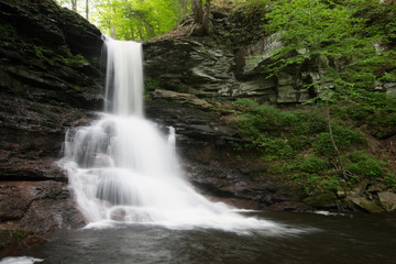 Fototapeta premium Scenic Waterfall in Ricketts Glen State Park in The Poconos in Pennsylvania