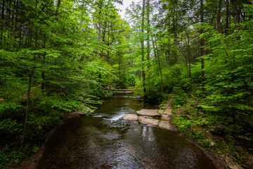 Scenic Waterfall in Ricketts Glen State Park in The Poconos in Pennsylvania
