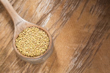 Seeds alfalfa - Medicago sativa