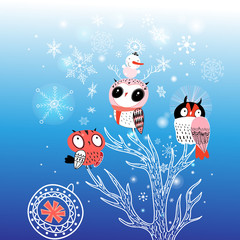 Greeting card Christmas with funny owls